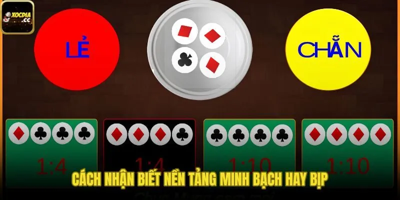 Dấu hiệu gian lận và các bước kiểm tra nền tảng