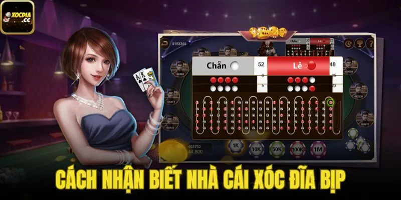 Cách Nhận Biết Nhà Cái Xóc Đĩa Bịp | Dấu Hiệu Cần Tránh