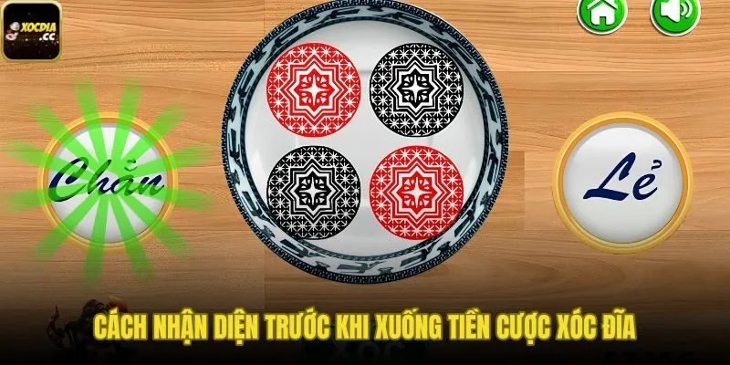 Các bước kiểm tra chính sách và hỗ trợ trước khi nạp