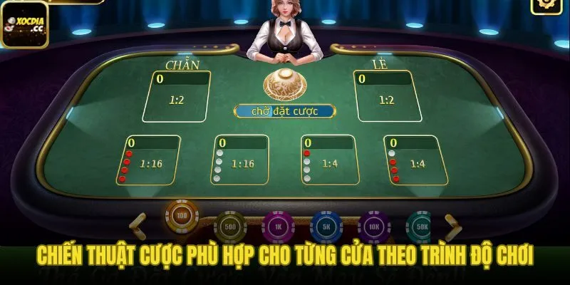 Chiến thuật quản lý vốn và nhịp cược theo từng cấp độ