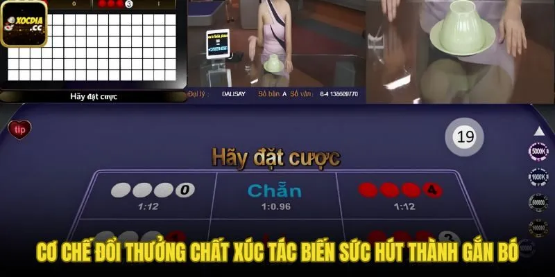 Phần thưởng tài chính khuếch đại mọi cảm xúc ván cược