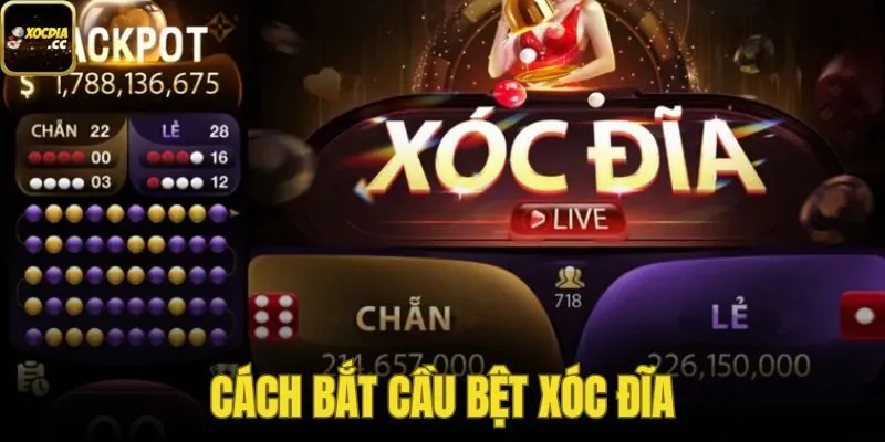 Cách Bắt Cầu Bệt Xóc Đĩa