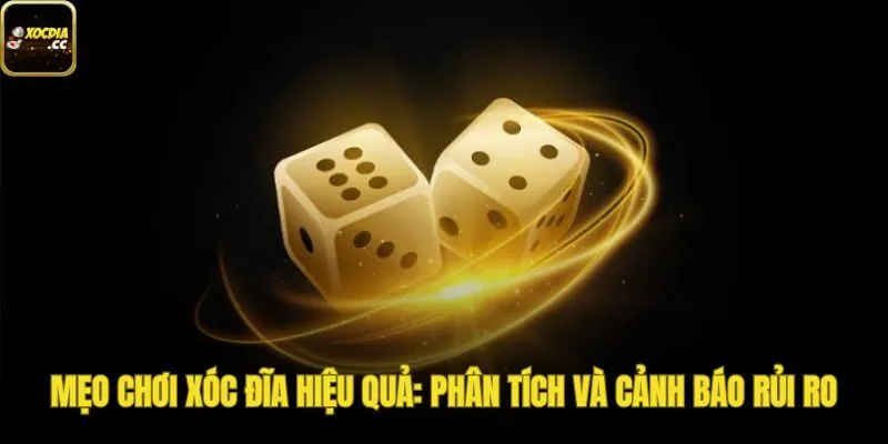 Bật mí mẹo chơi xóc đĩa hiệu quả, quản lý vốn và cảnh báo rủi ro lừa đảo