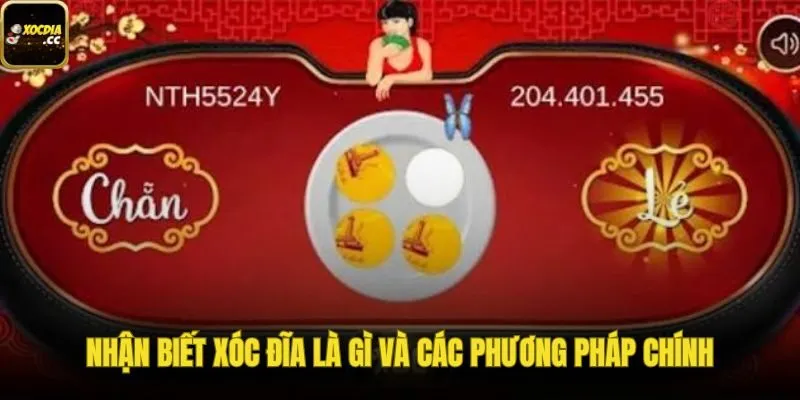 Tổng quan tín hiệu xóc đĩa và nhóm phương pháp phổ biến