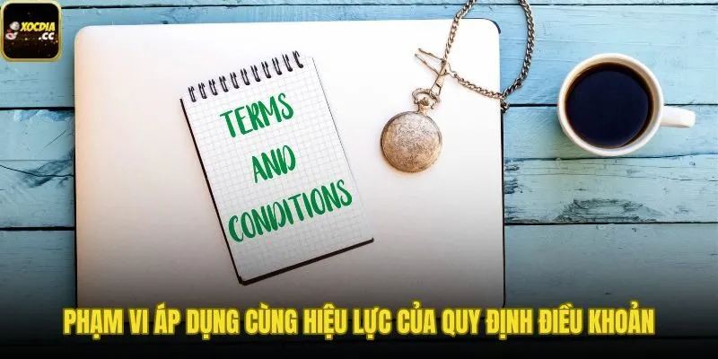 Điều khoản dịch vụ và phạm vi áp dụng cụ thể