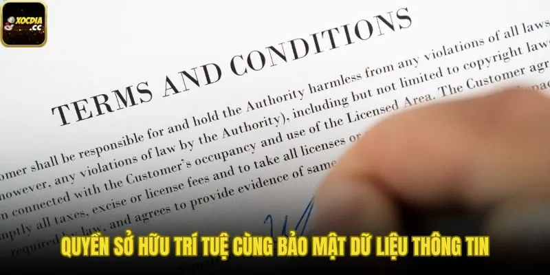 Điều khoản dịch vụ bảo vệ bản quyền cùng dữ liệu