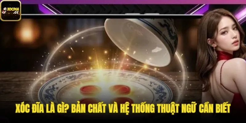 Bản chất trò chơi xóc đĩa và các thuật ngữ cơ bản cần nắm vững