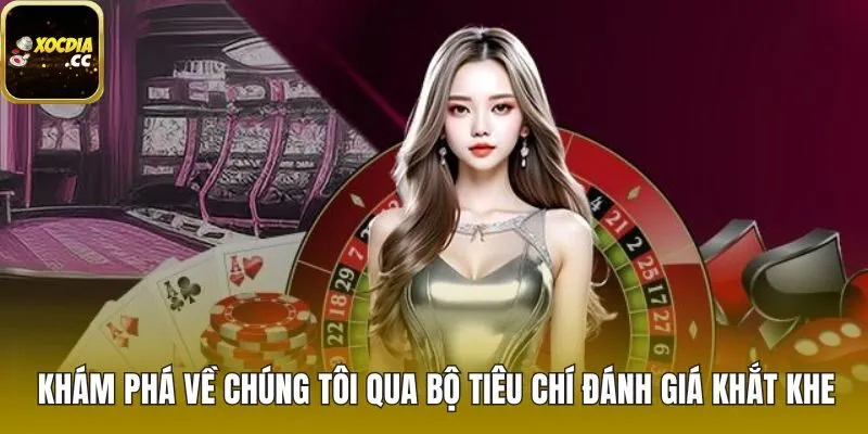Tiêu Chí Lựa Chọn Và Đánh Giá Các Nền Tảng Xóc Đĩa